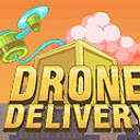 Drone Delivery