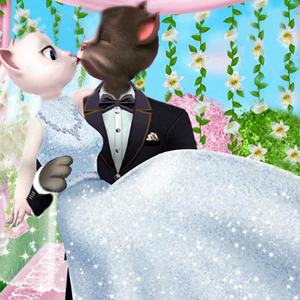 Angela and Tom Dream Wedding