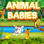 Animal Babies