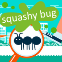 Squashy Bug