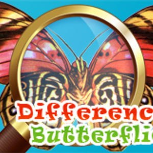 Differences Butterflies