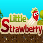 EG Little Strawberry