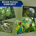 Jigsaw Puzzle Rain Forest