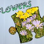 Jigsaw Puzzle Flowers