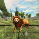 Lion Hunting 3D