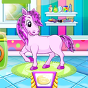 Pony Pet Salon