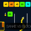 Snake VS Blocks