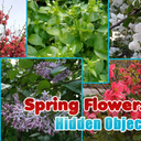 Spring Flowers Hidden Objects